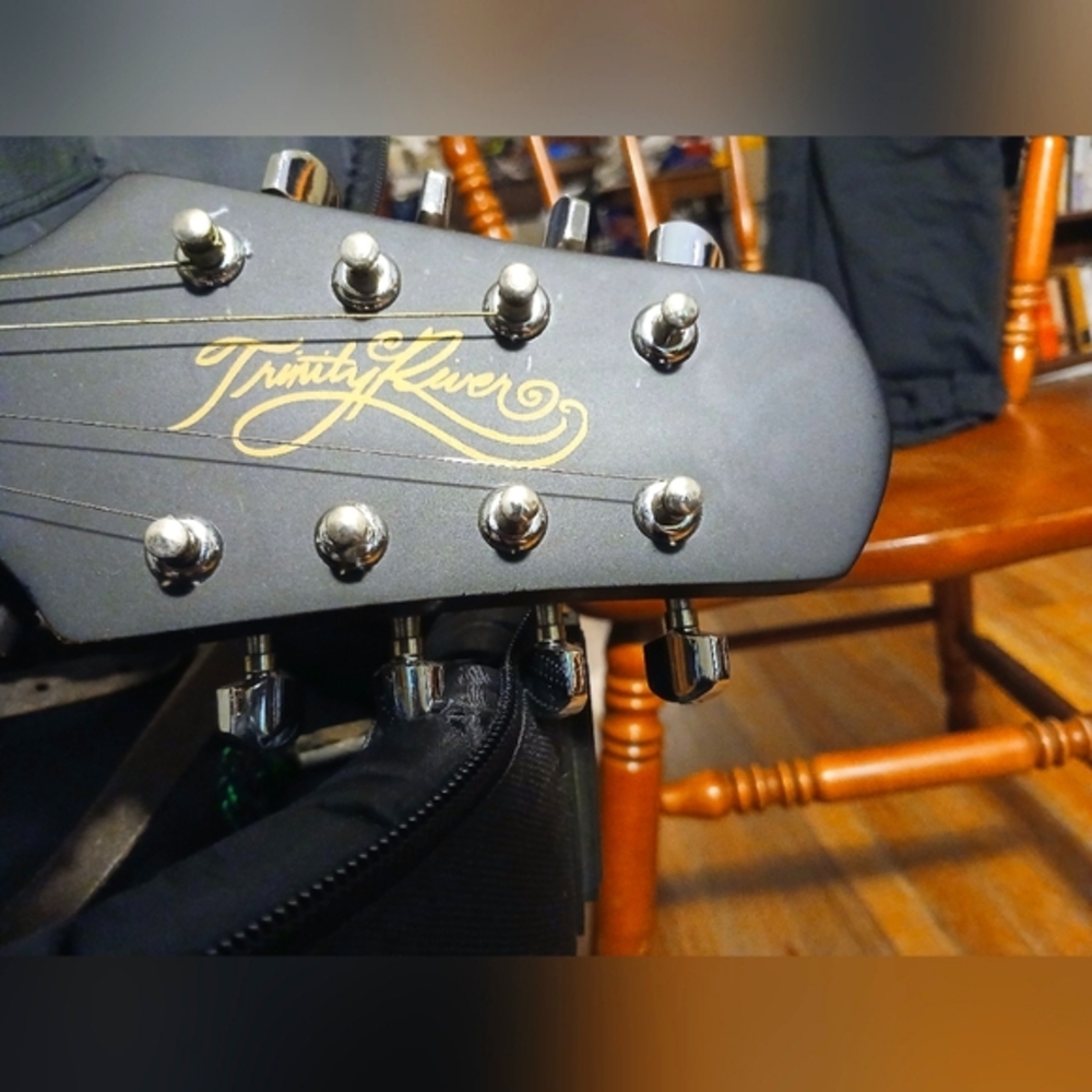 Trinity River Mandolin with Access Stage 1 gig bag. Free   handmade strap.